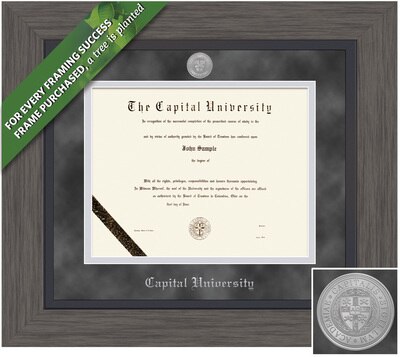 Framing Success 8.5 x 11 Greystone Silver Medallion Bachelors, Masters Diploma Frame