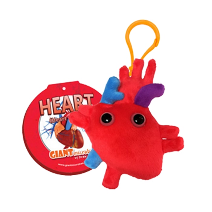 Keychain  - Heart Organ