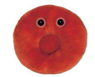 Red Blood Cell