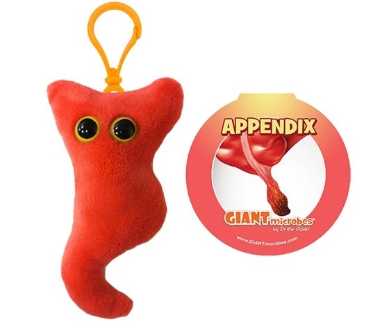 Keychain - Appendix