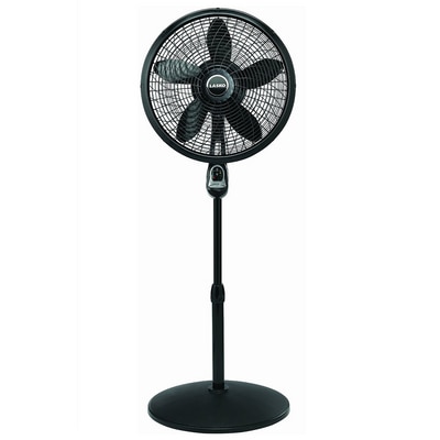 Adjust Cyclone Pdstl Fan Blk