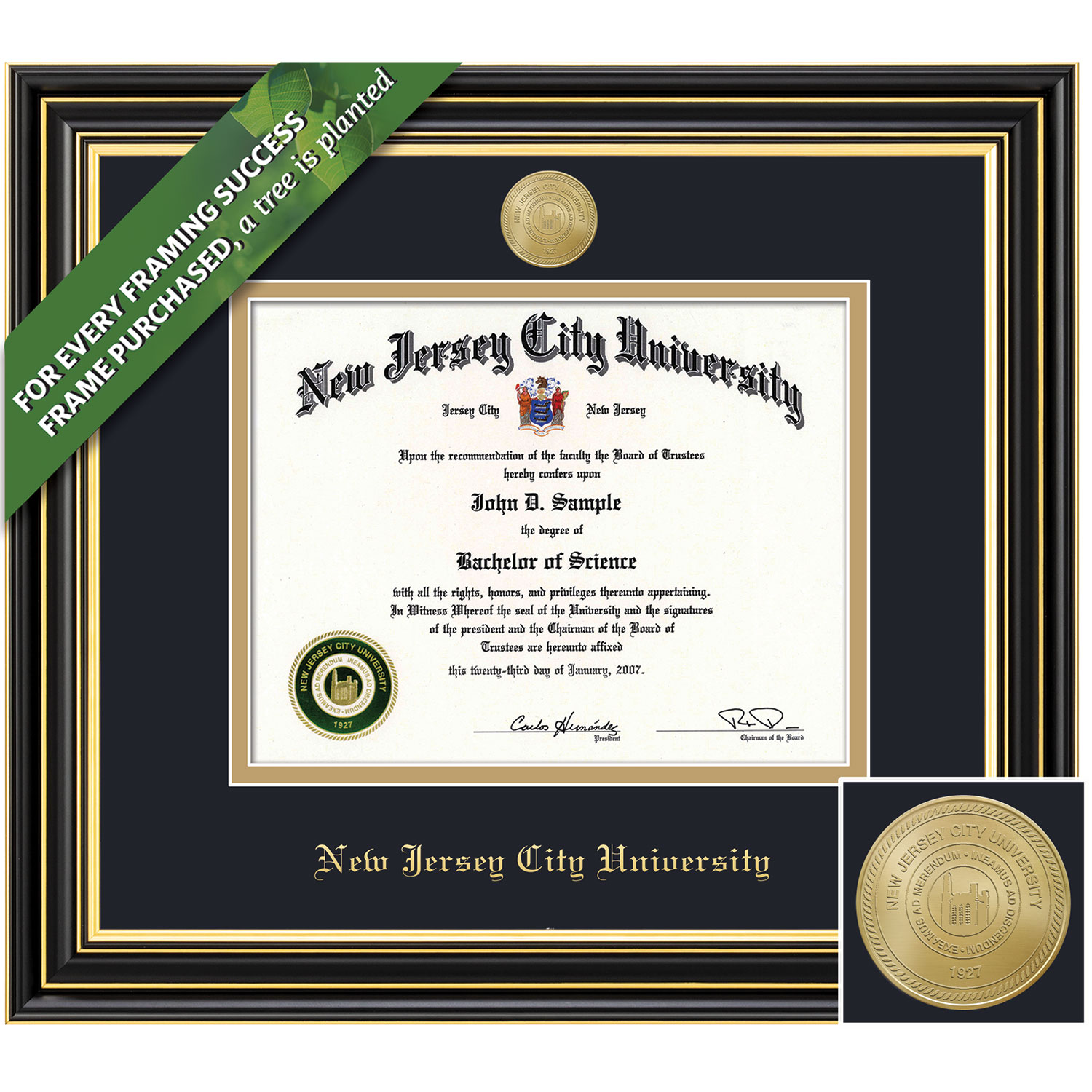 Framing Success 8.5 x 11 Prestige Gold Medallion Bachelors, Masters Diploma Frame