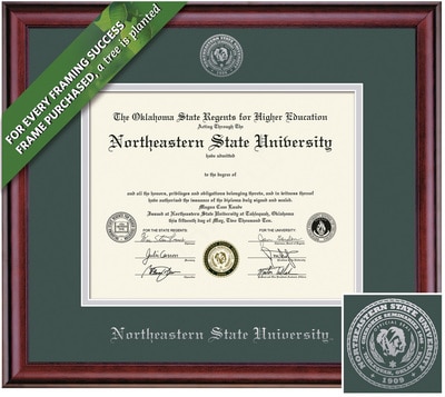 Framing Success 8.5 x 11 Classic Gold Embossed School Seal Bachelors Diploma Frame
