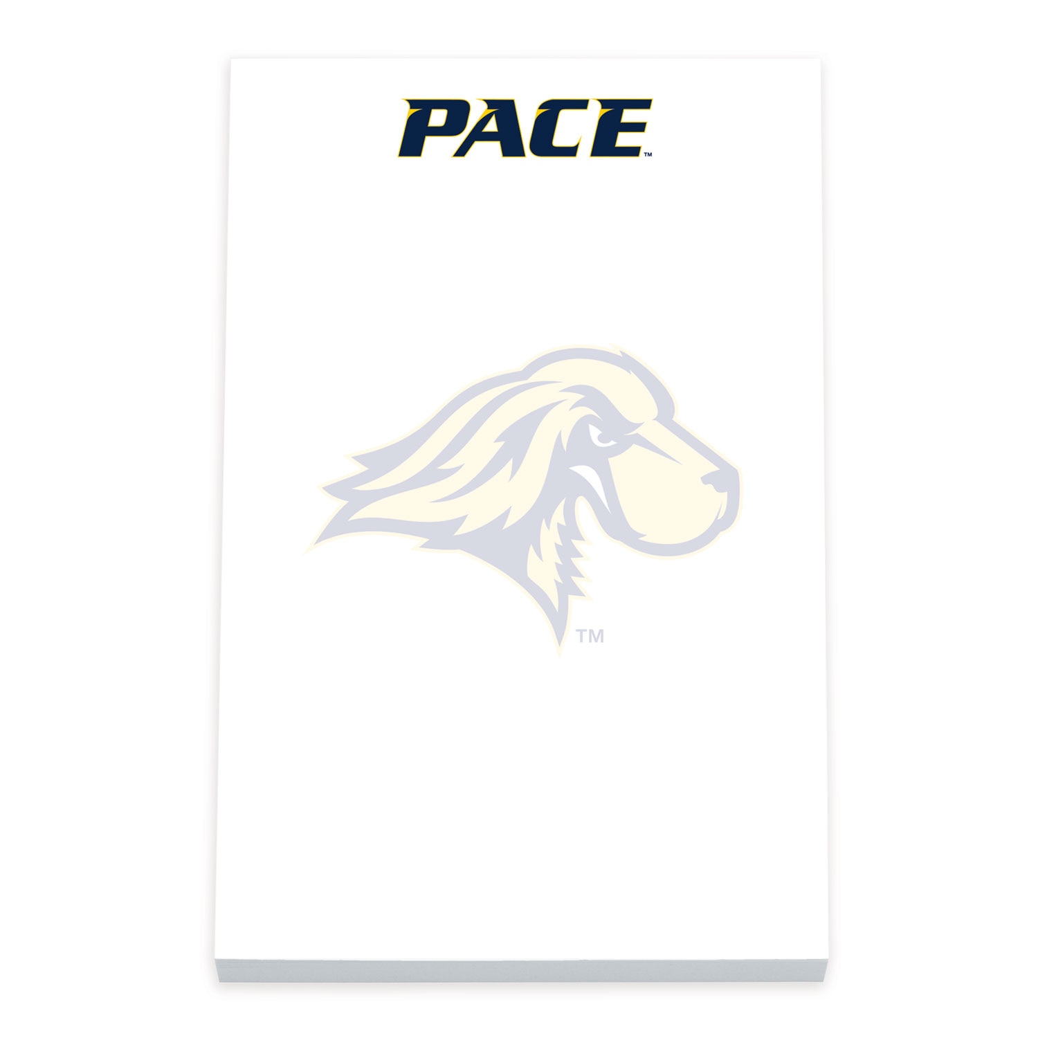 Imprinted Scratch Pad 4x6" 100 Sheets