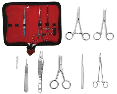 Vet Anatomy Dissection Kit