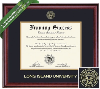 Framing Success 11 x 14 Classic Gold Embossed School Seal Bachelors, Masters, Doctorate Diploma Frame