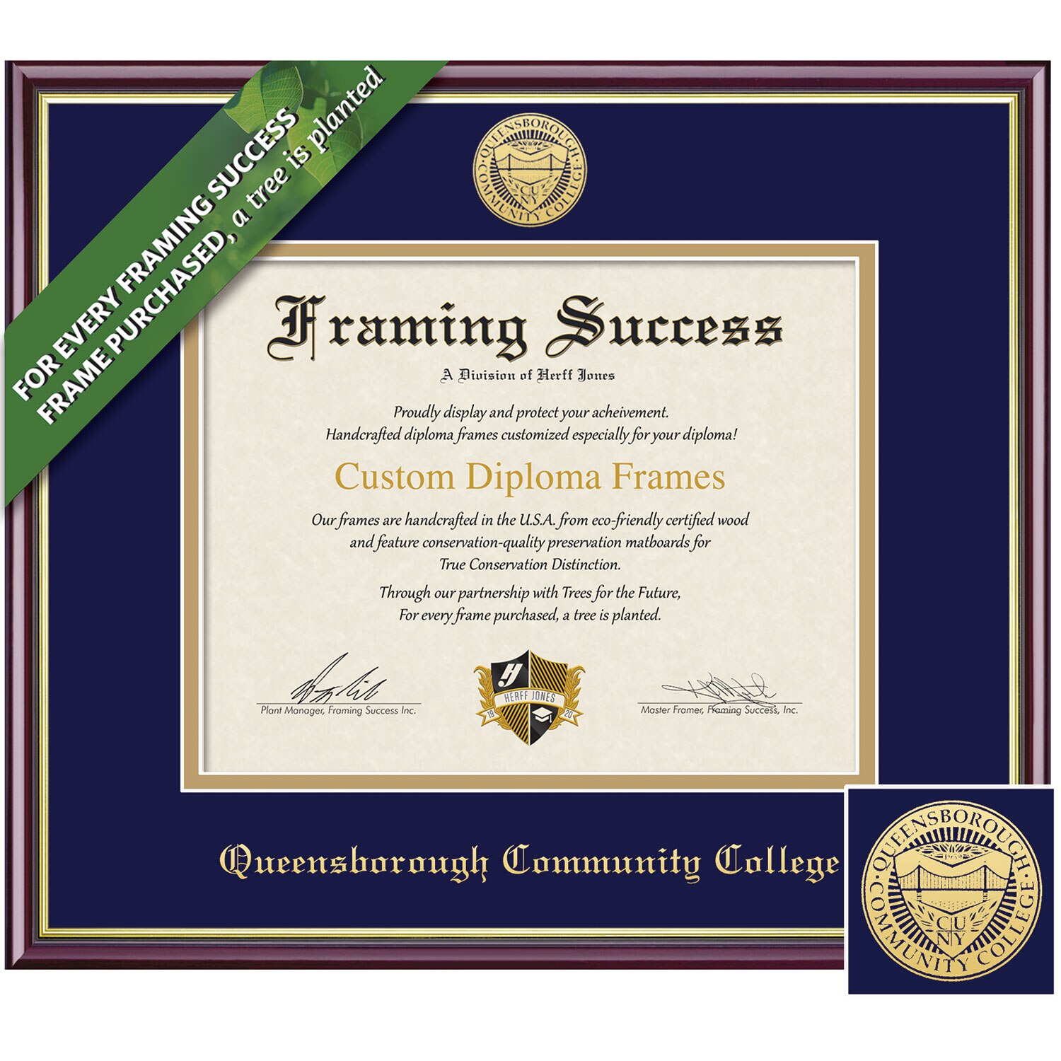 Framing Success 7 x 9 Academic Gold Embossed School Seal Associates Diploma Frame
