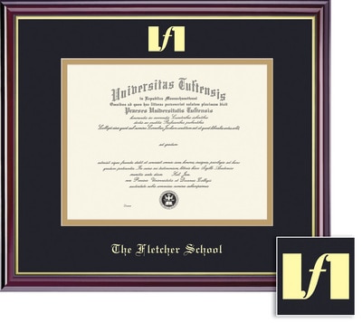 Framing Success 8.5 x 11 Windsor Gold Emb School Seal Fletcher School Diploma Frame