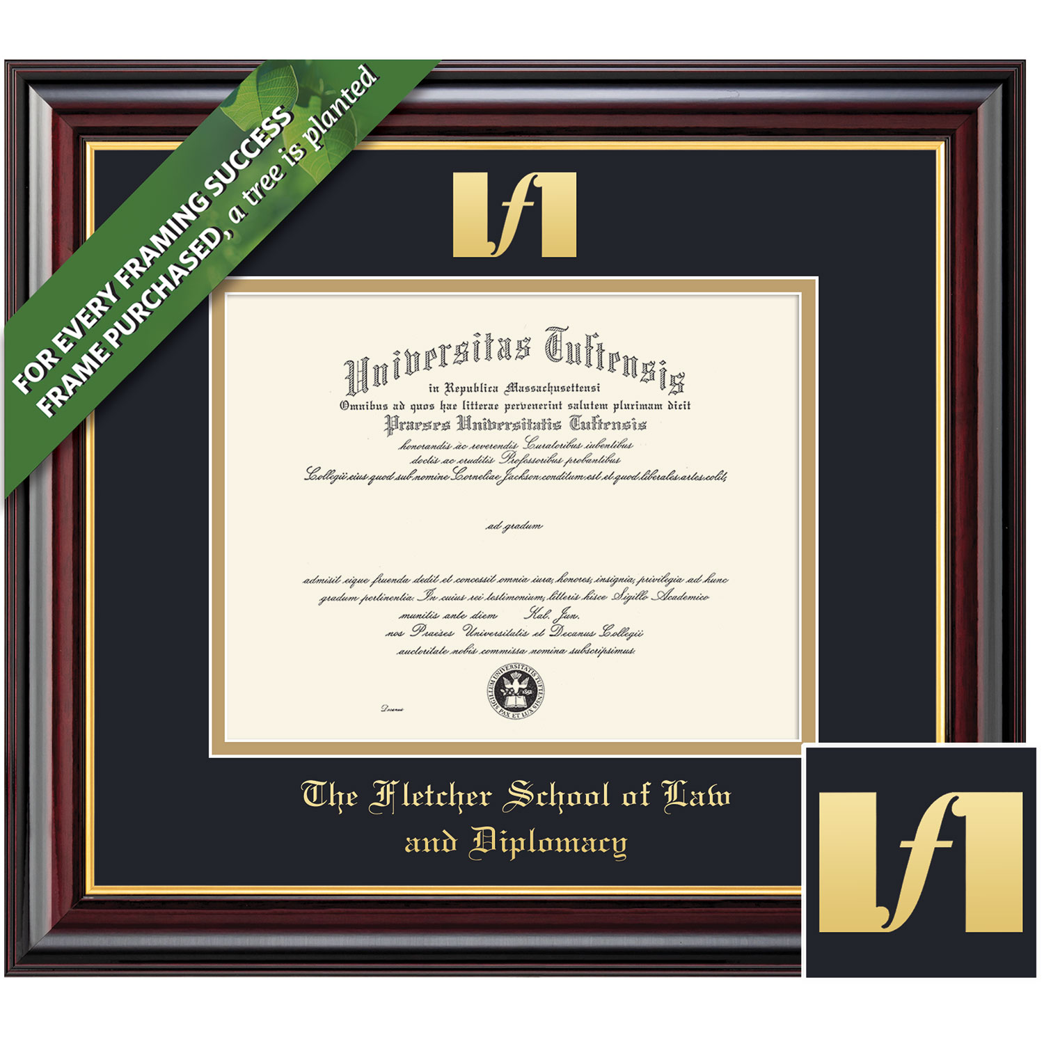 Framing Success 8.5 x 11 Windsor Gold Emb School Seal Law & Diplomacy Diploma Frame