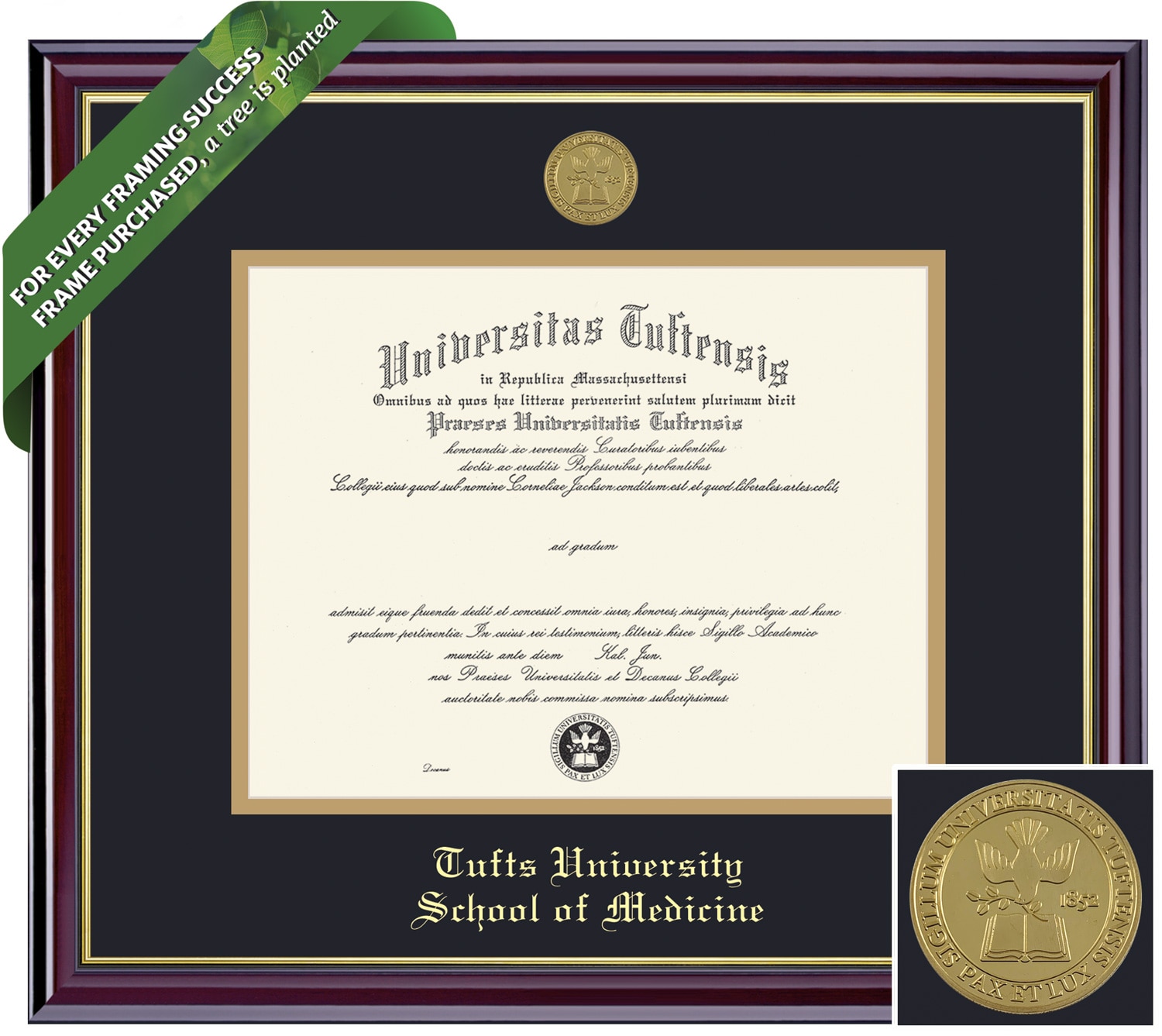 Framing Success 8.5 x 11 Windsor Gold Medallion Physician's Assistant Diploma Frame
