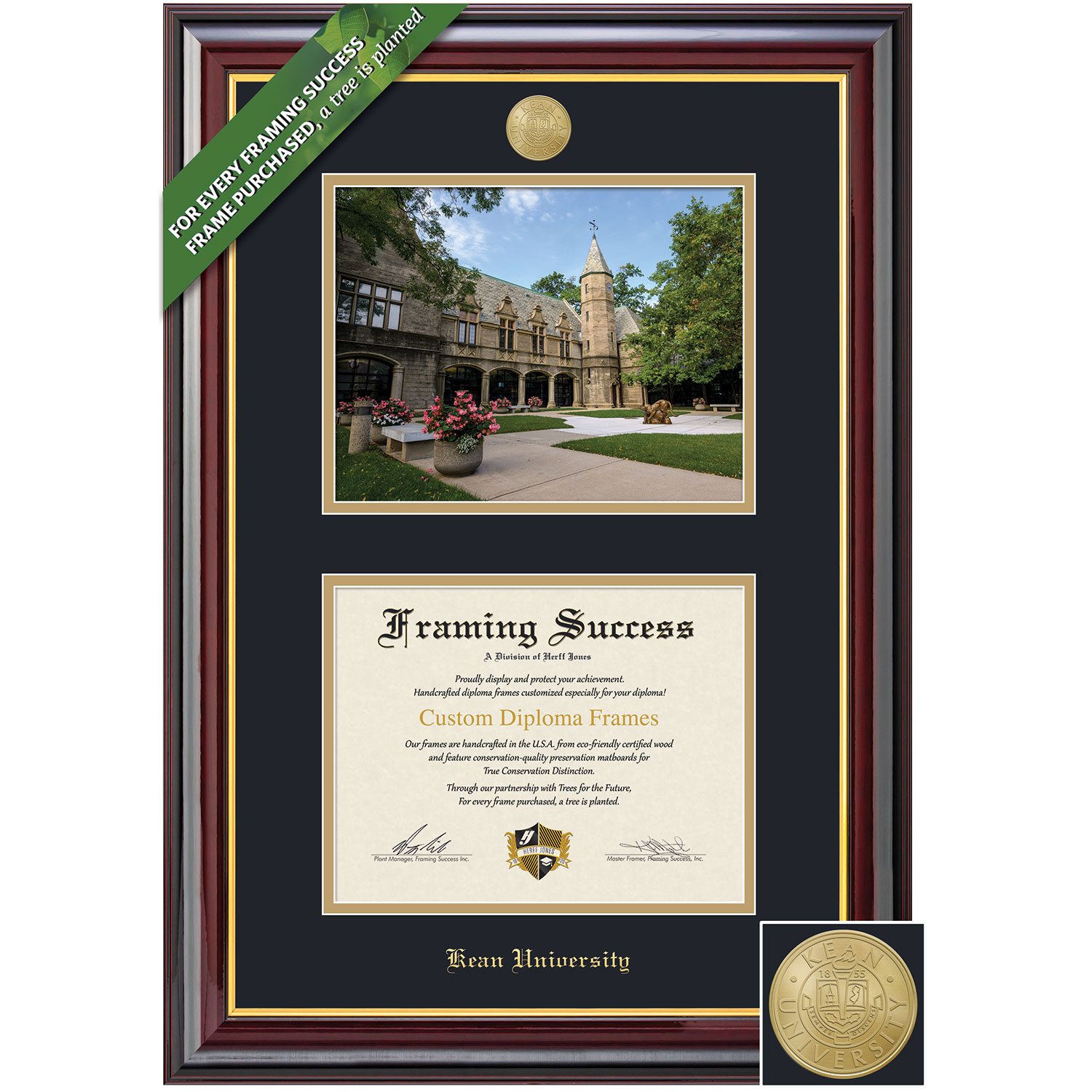 Framing Success 8.5 x 11 Windsor Gold Medallion Bachelors, Masters, Doctorate Diploma/Photo Frame
