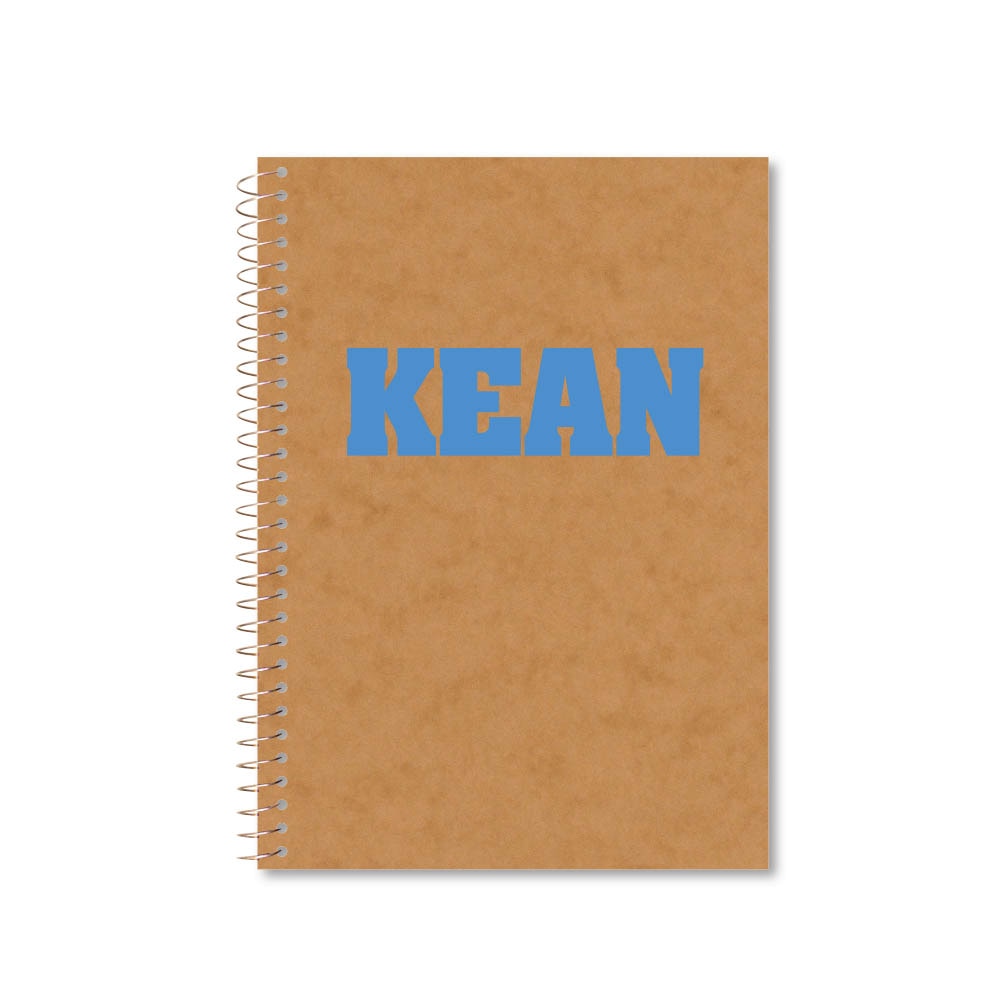 Roaring Premium 3 Subject 9.5 x 6.5 Notebook, College Ruled 20lb Paper, Pressboard Foil Cover