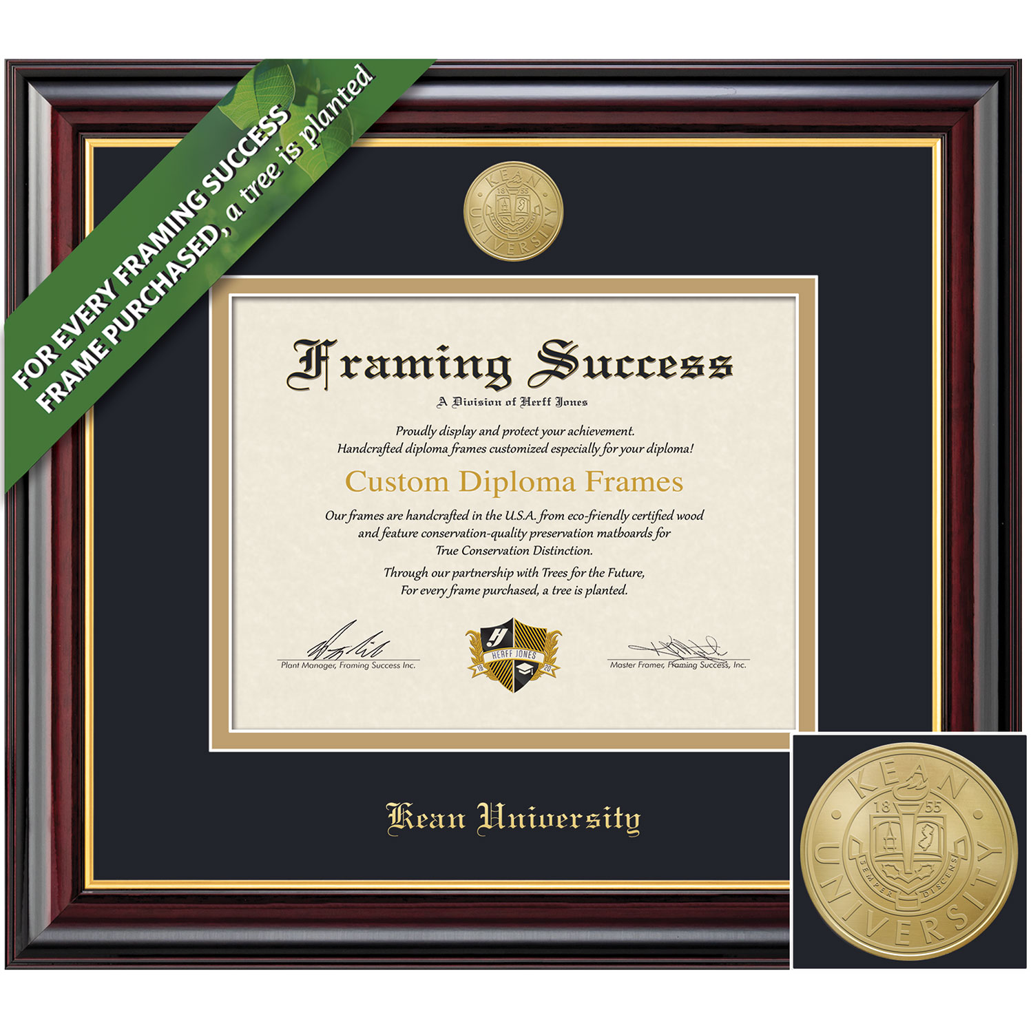 Framing Success 8.5 x 11 Windsor Gold Medallion Bachelors, Masters, Doctorate Diploma Frame