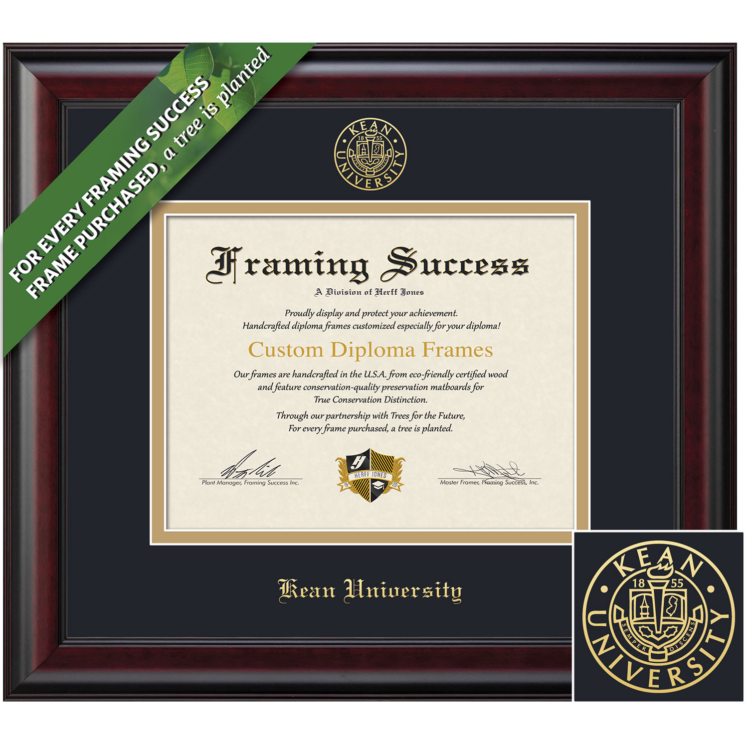 Framing Success 8.5 x 11 Classic Gold Embossed School Seal Bachelors, Masters, Doctorate Diploma Frame