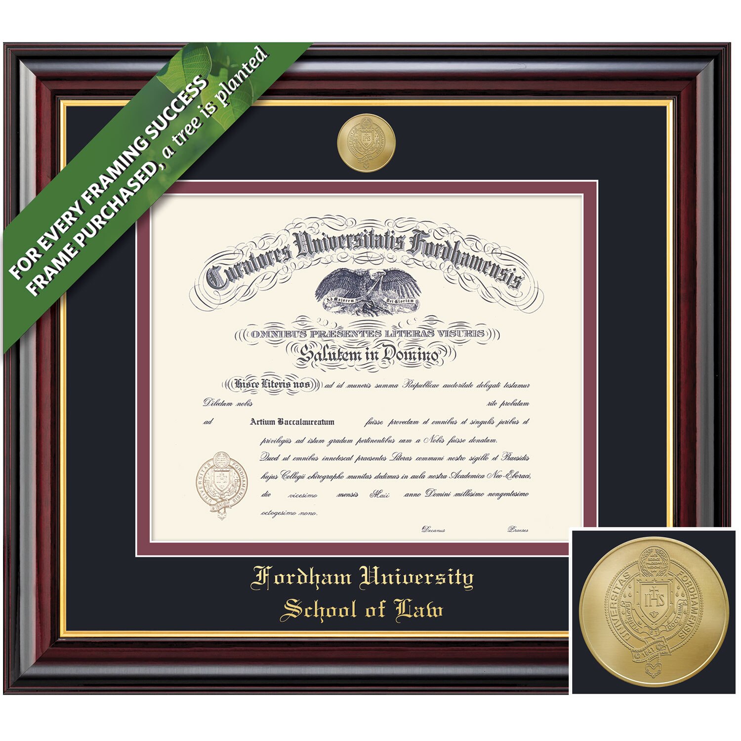 Framing Success 14.5 x 18 Windsor Gold Medallion Law Diploma Frame