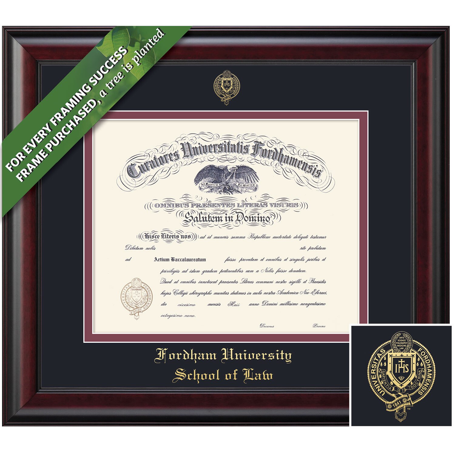 Framing Success 14.5 x 18 Classic Gold Embossed School Seal Law Diploma Frame