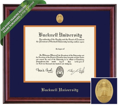 Framing Success 8 x 10 Classic Gold Medallion Bachelors, Masters Diploma Frame