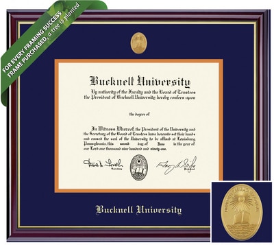 Framing Success 8 x 10 Windsor Gold Medallion Bachelors, Masters Diploma Frame