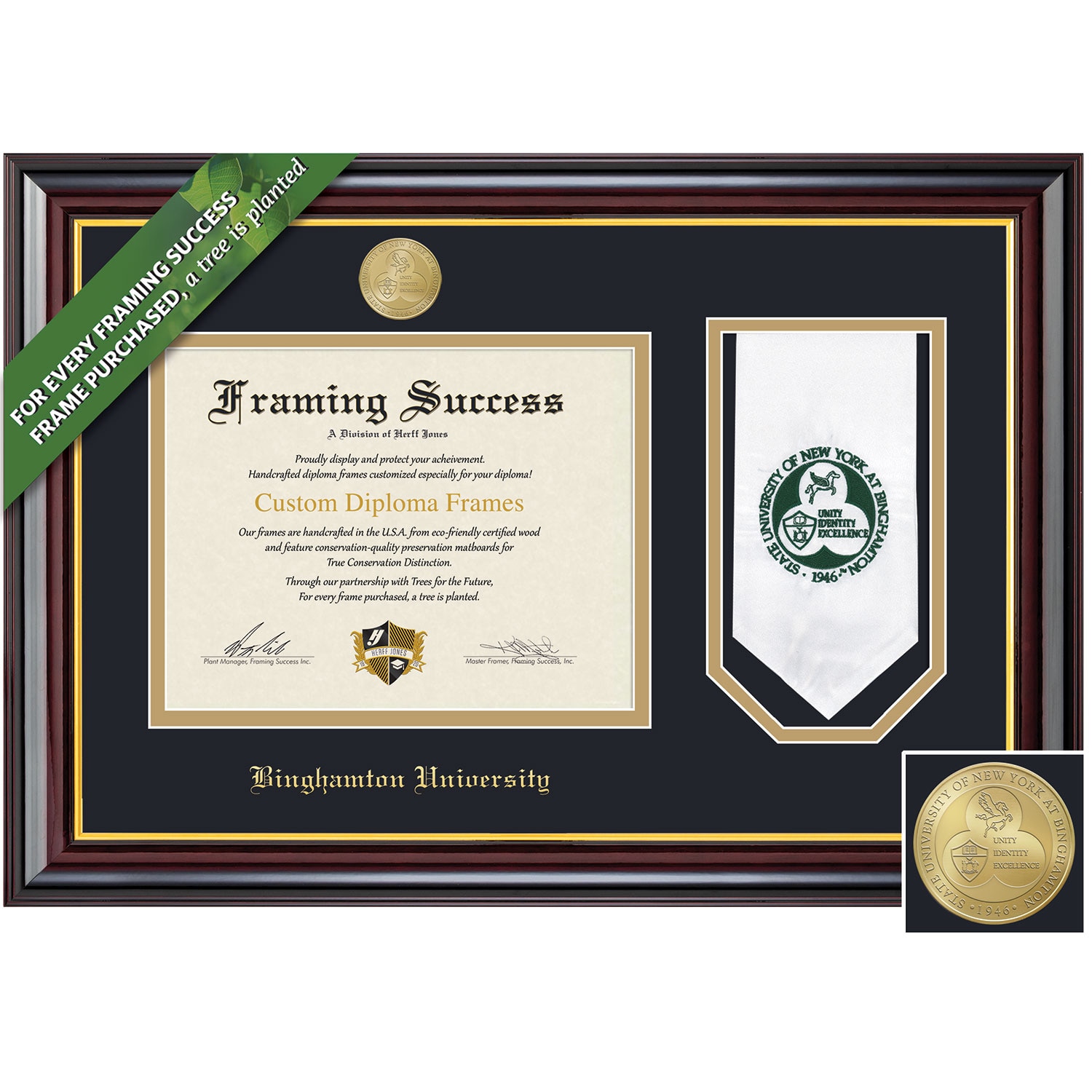 Framing Success 8.5 x 11 Windsor Gold Medallion Bachelors, Masters, PhD Diploma/Stole Frame