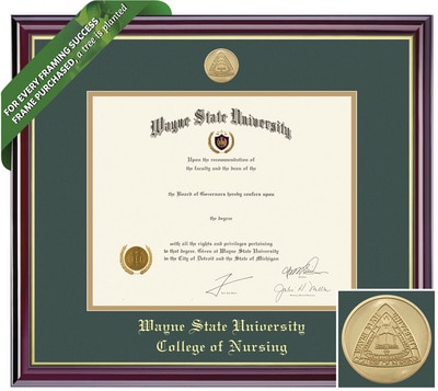 Framing Success 8 x 10 Windsor Gold Medallion Nursing Diploma Frame