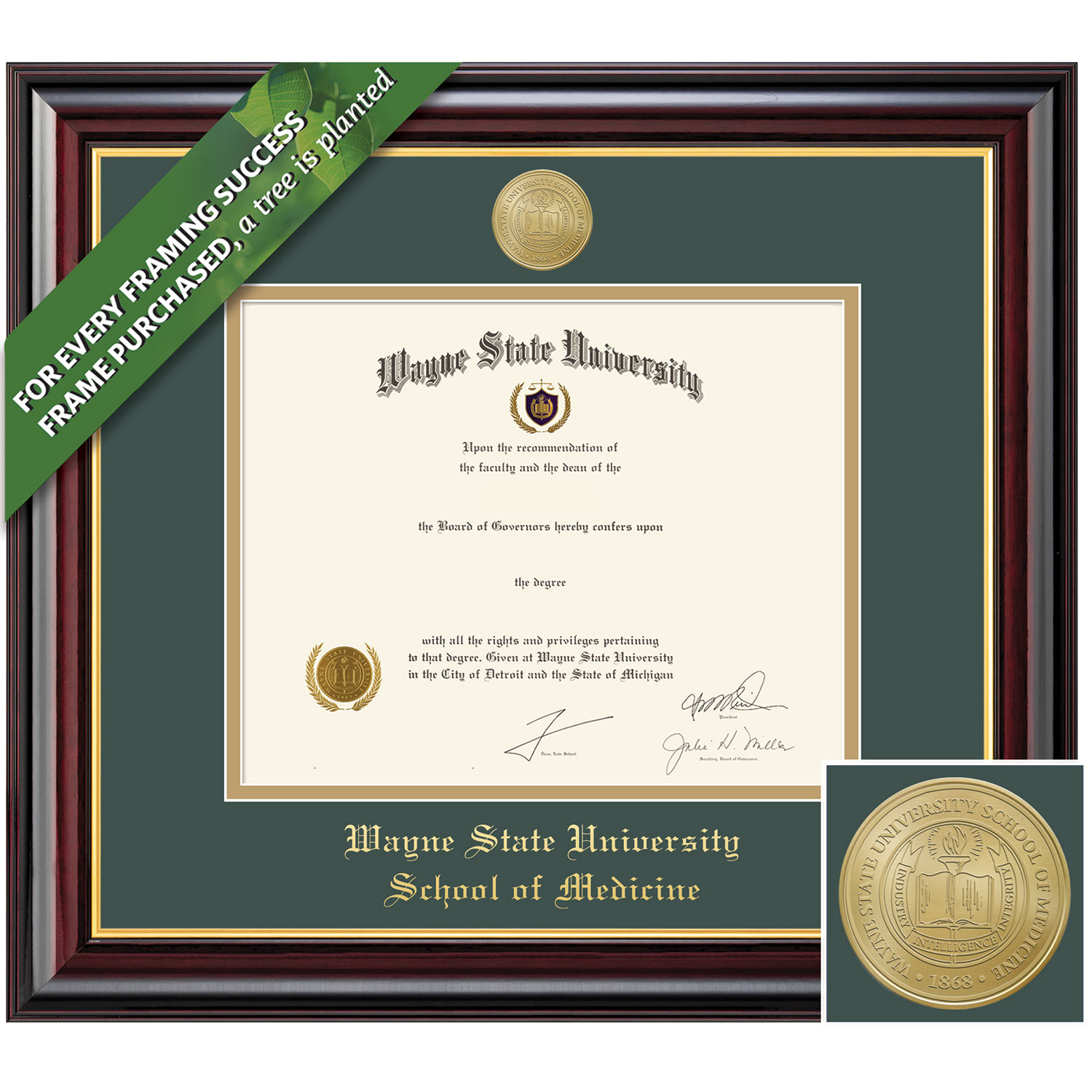 Framing Success 11 x 14 Windsor Gold Medallion Medical Diploma Frame