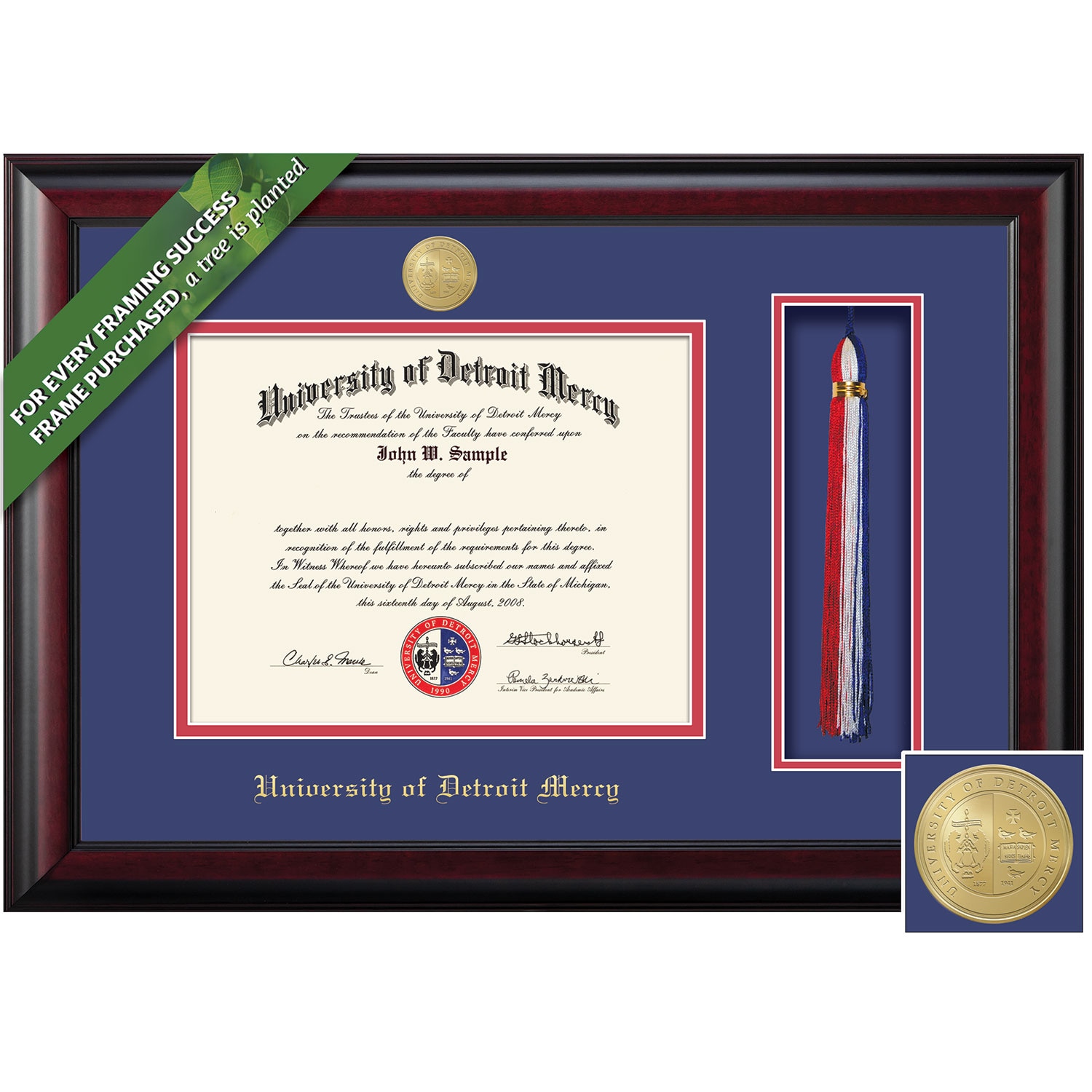 Framing Success 8.5 x 11 Classic Gold Medallion Bachelors, Masters, PhD Diploma/Tassel Frame