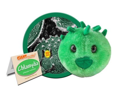 Chlamydia