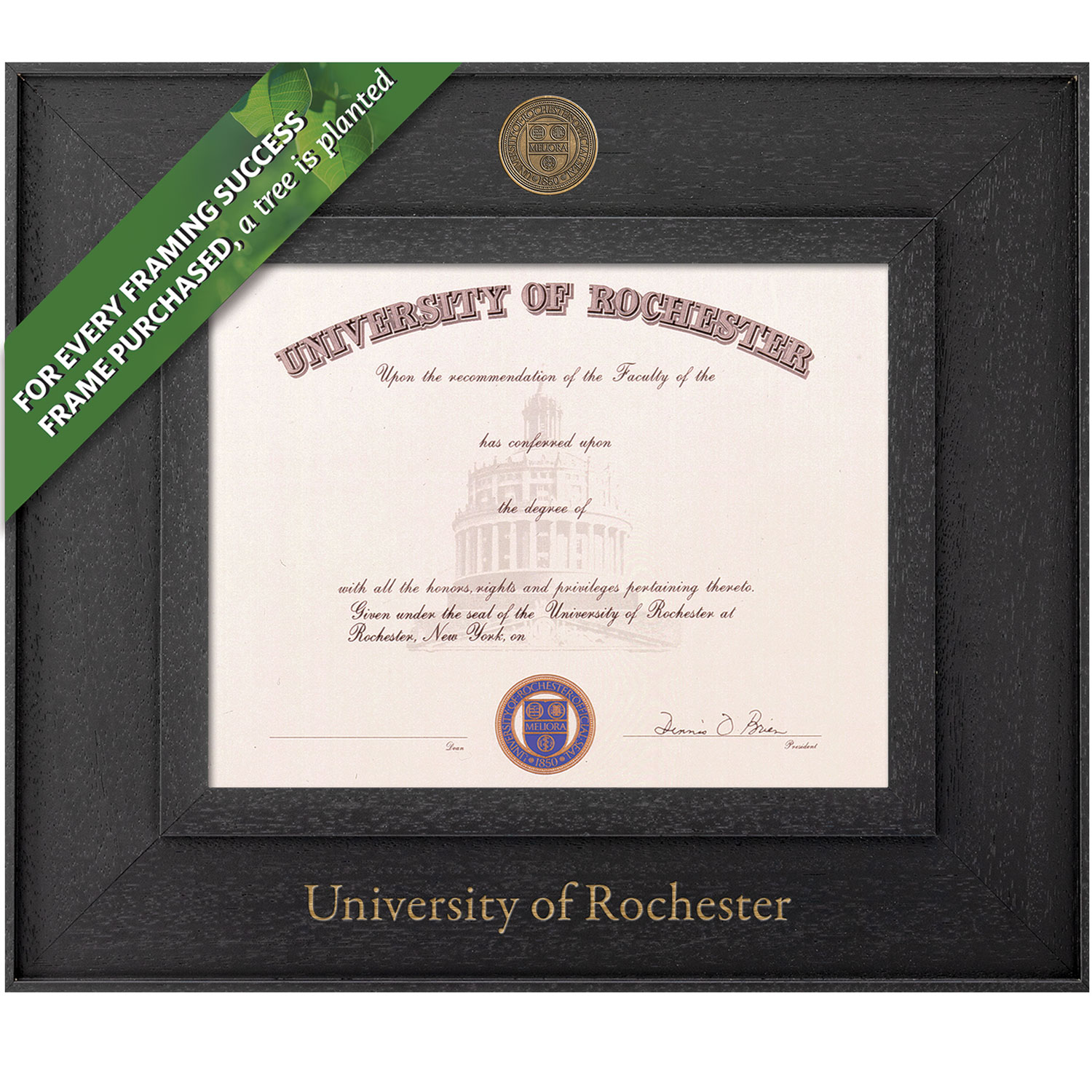 Framing Success 8.5 x 11 Cavalier Antiqued Medallion Bachelors, Masters Diploma Frame
