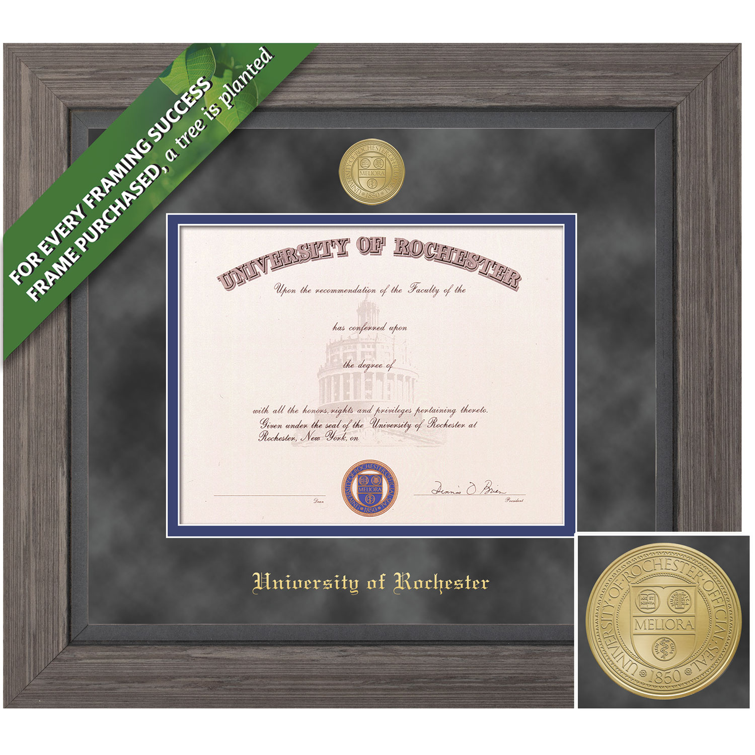 Framing Success 12 x 16 Greystone Gold Medallion PhD Diploma Frame