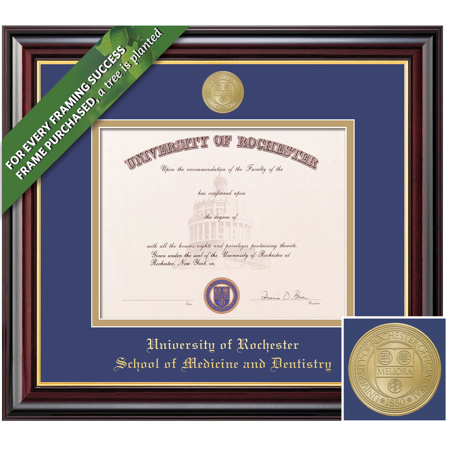 Framing Success 12 x 16 Windsor Gold Medallion Masters Diploma Frame