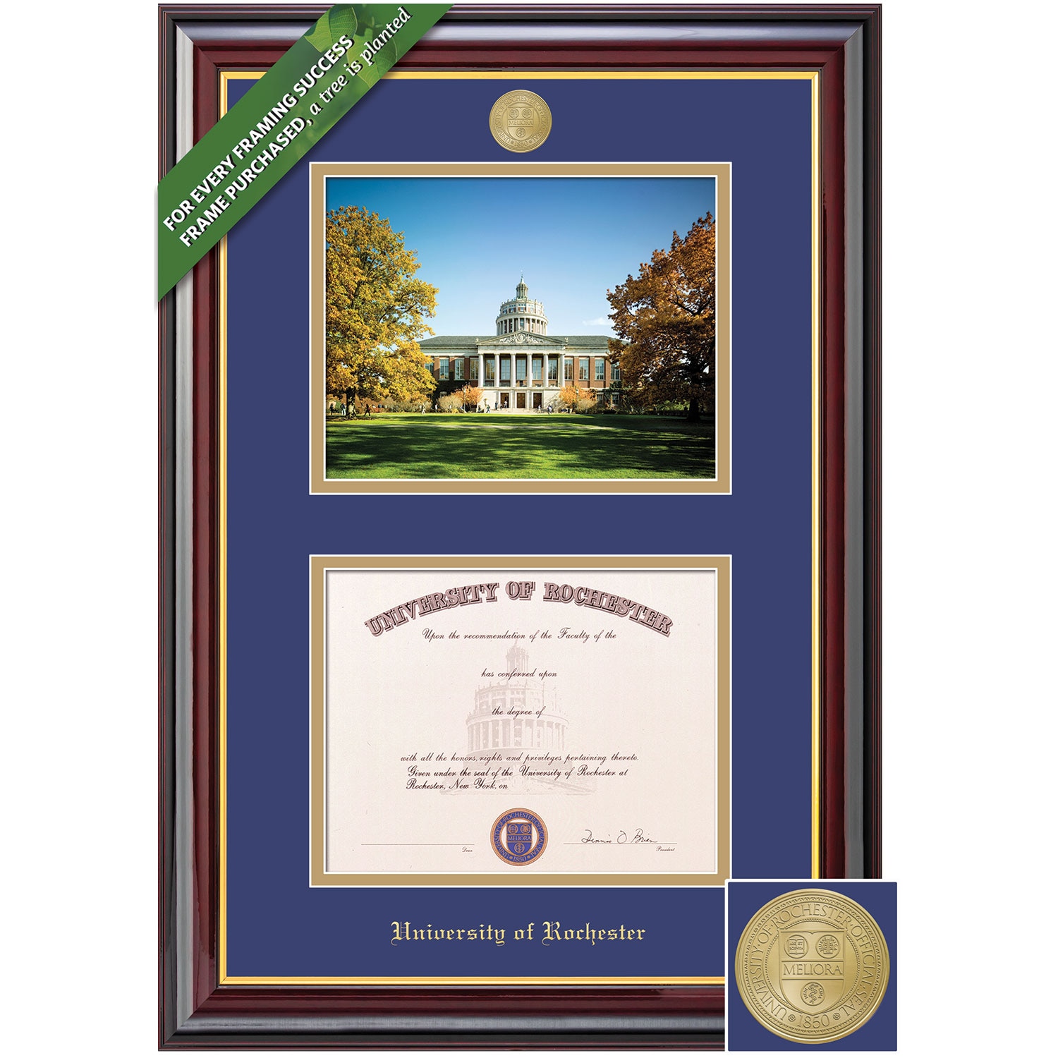 Framing Success 8.5 x 11 Windsor Gold Medallion Bachelors, Masters Diploma/Photo Frame