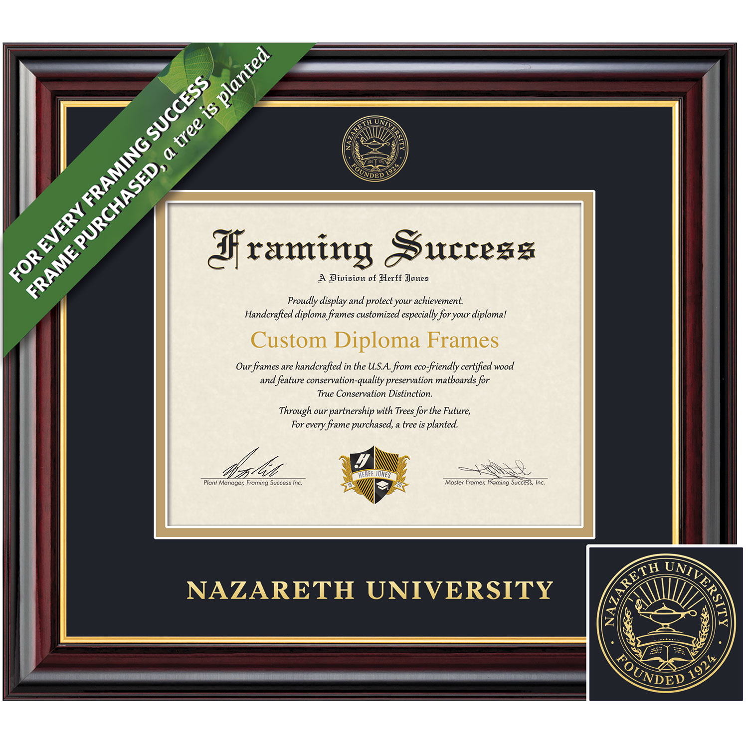 Framing Success 8 x 10 Windsor Gold Embossed School Seal Bachelors, Masters, Doctorate Diploma Frame