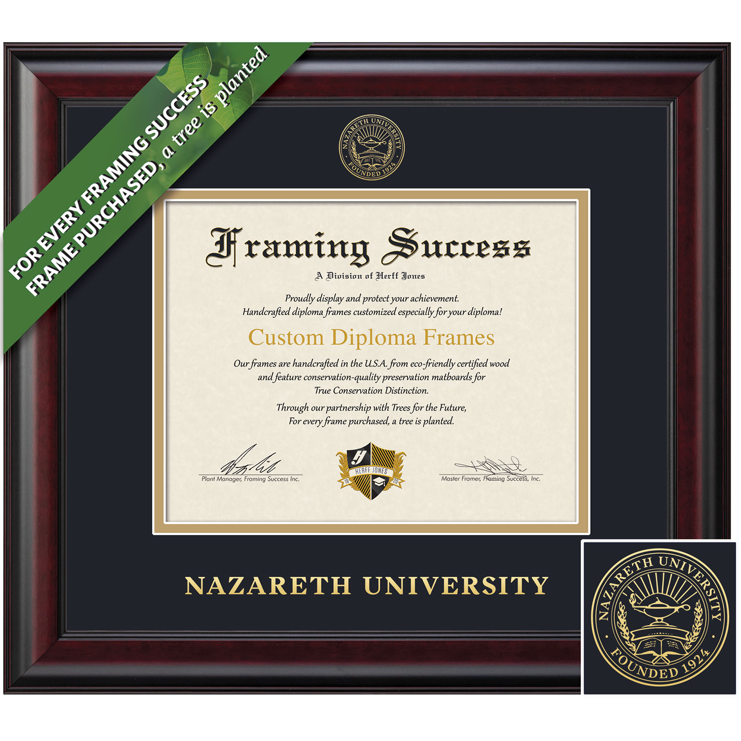 Framing Success 8 x 10 Classic Gold Embossed School Seal Bachelors, Masters, Doctorate Diploma Frame