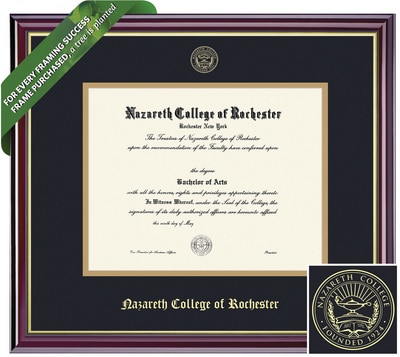Framing Success 8 x 10 Windsor Gold Embossed School Seal Bachelors, Masters, Doctorate Diploma Frame