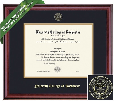Framing Success 8 x 10 Classic Gold Embossed School Seal Bachelors, Masters, Doctorate Diploma Frame