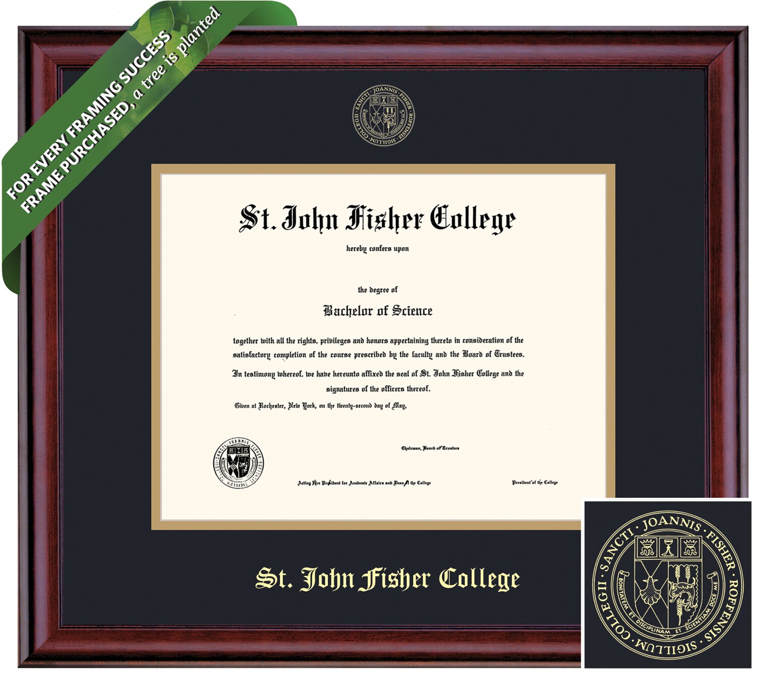 Framing Success 8.5 x 11 Classic Gold Embossed School Seal Bachelors, Masters Diploma Frame