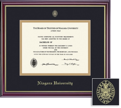 Framing Success 14 x 17 Windsor Gold Embossed School Seal PhD Diploma Frame