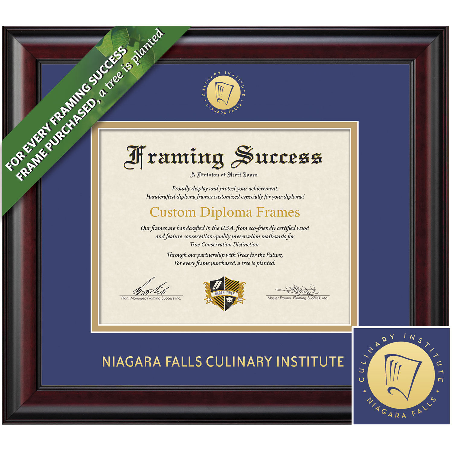 Framing Success 8 x 10 Classic Gold Embossed School Seal Associates Diploma Frame