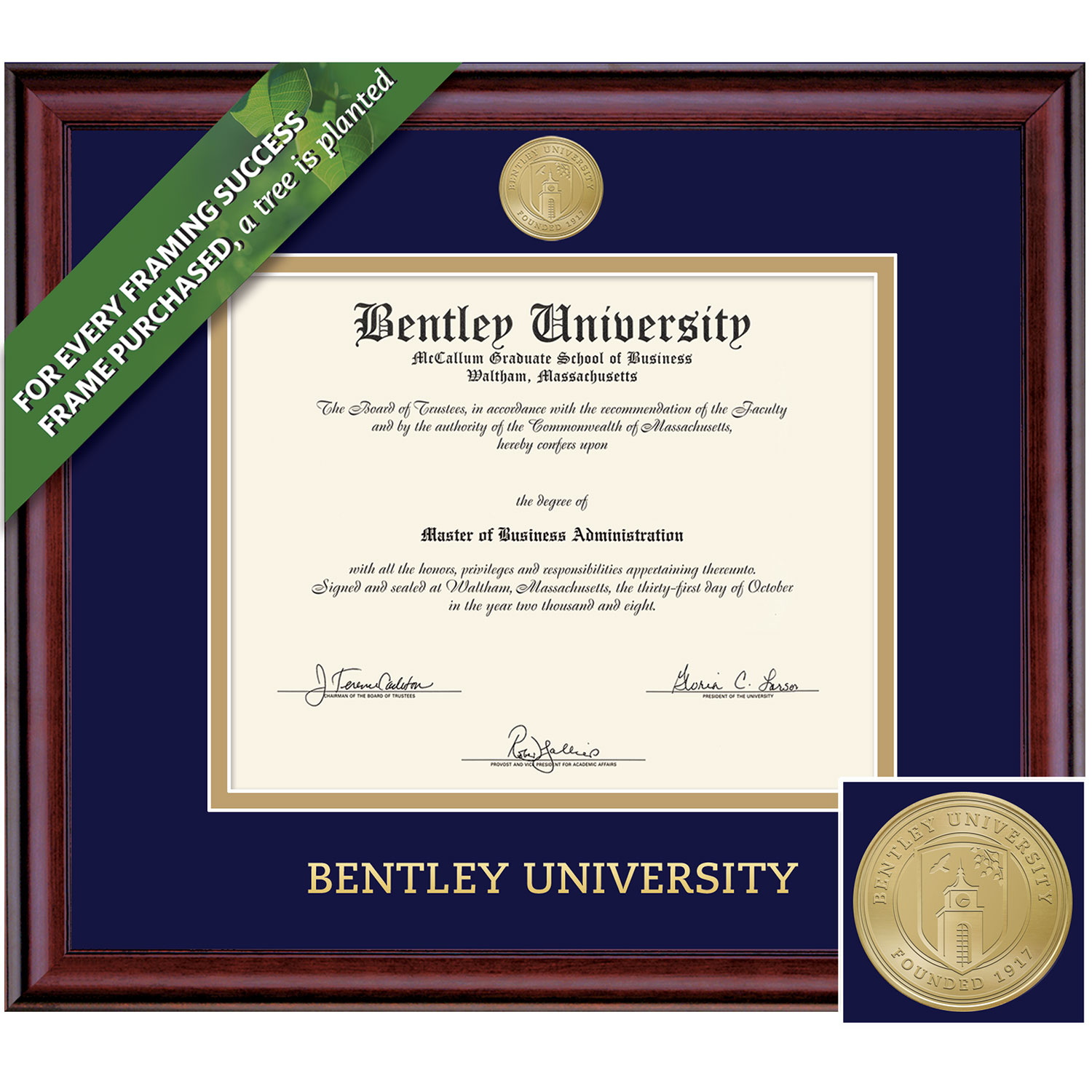 Framing Success 11 x 14 Classic Gold Medallion Bachelors, Masters, PhD Diploma Frame