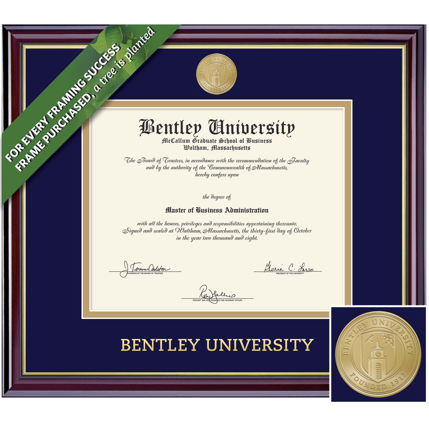 Framing Success 11 x 14 Windsor Gold Medallion Bachelors, Masters, PhD Diploma Frame