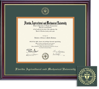 Framing Success 9.5 x 12 Windsor Gold Embossed School Seal Ph.D Diploma Frame