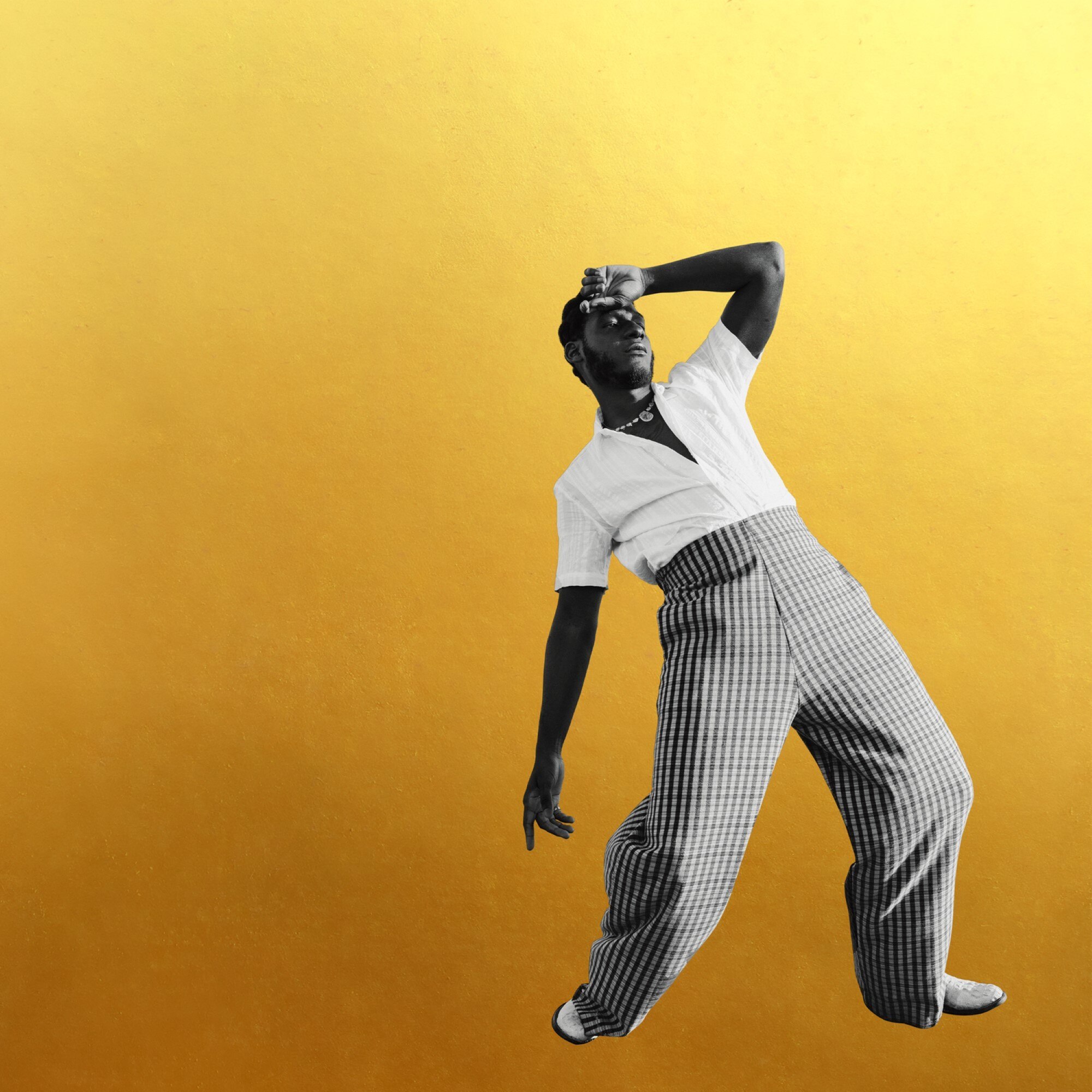 GOLD-DIGGERS SOUND -- BRIDGES LEON