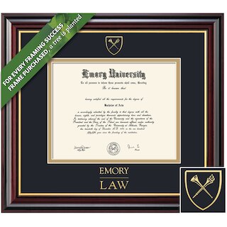 Framing Success 14 x 17 Windsor Gold Embossed School Seal School Of Law Diploma Frame