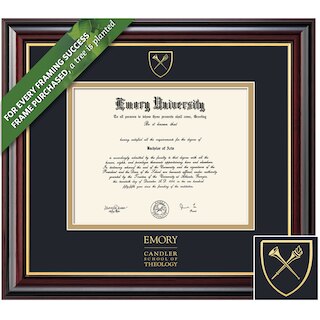 Framing Success 14 x 17 Windsor Gold Embossed School Seal School Of Theology Diploma Frame