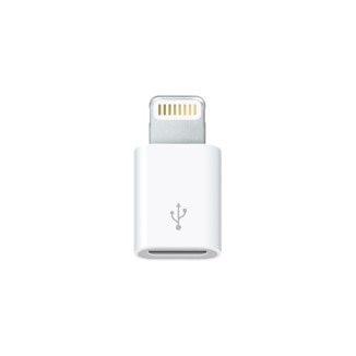 Lightning Micro USB Adapter