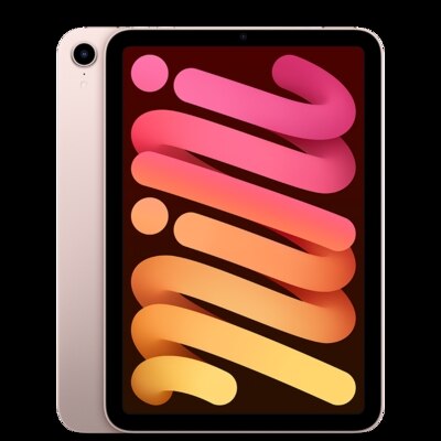 iPad mini Wi-Fi 256GB - Pink | Emory University Bookstore