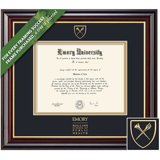 Framing Success 14 x 17 Windsor Gold Embossed School Seal School Of Public Health Diploma Frame