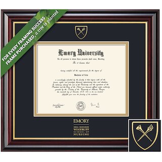 Framing Success 14 x 17 Windsor Gold Embossed School Seal School Of Nursing Diploma Frame
