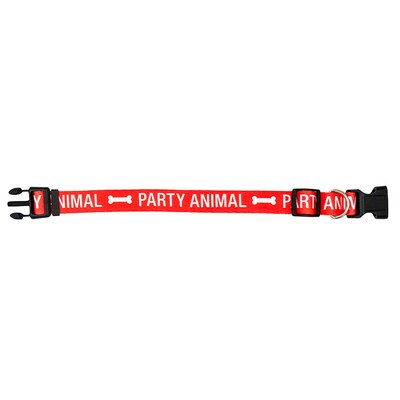 DNR Party Animal Dog Collar, Large/X-Large