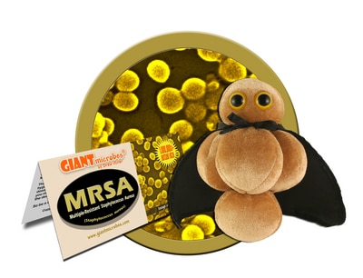 Mrsa